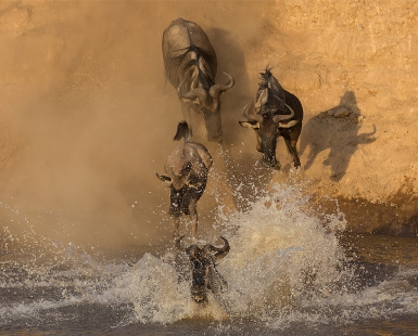 Big migration