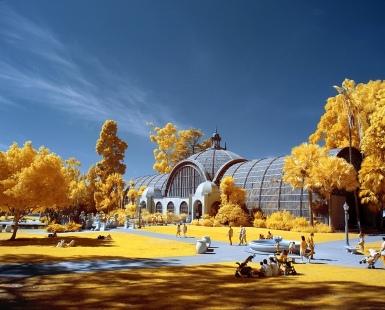 The greenhouse