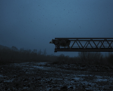„Broken Bridge” Roan (03.2011 - 02.2017)