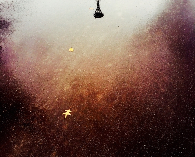 Surface and Consciousness 