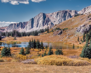 Alpine Fall