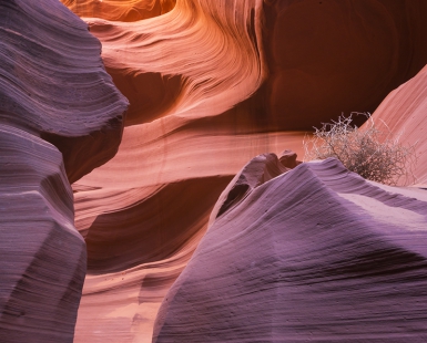 Artistry of Wind and Water