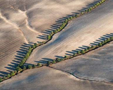 Shadows in the field