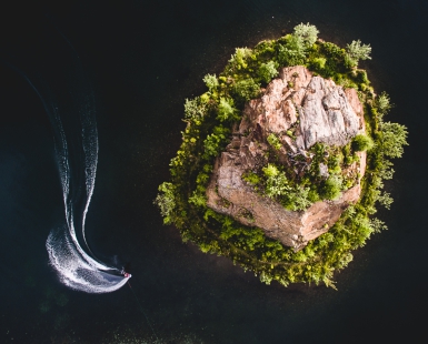 bird's eye