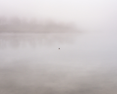 The velvety dawn I
