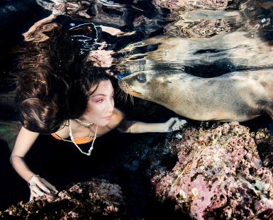 Mermaid and Sea Lion