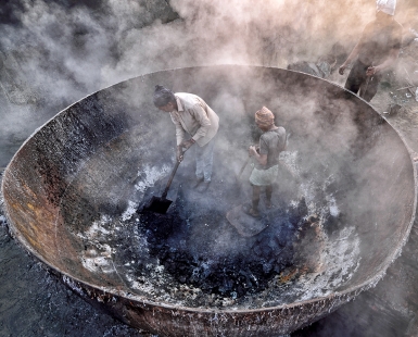 Life in Furnace