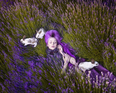 Dreams Made Of Lavender