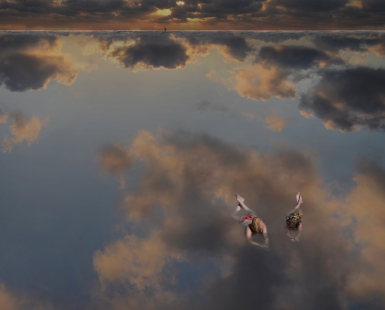 Two skies