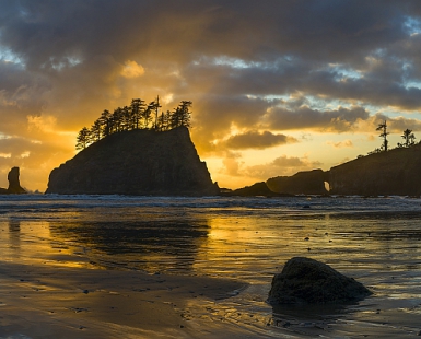 Coastal Fire