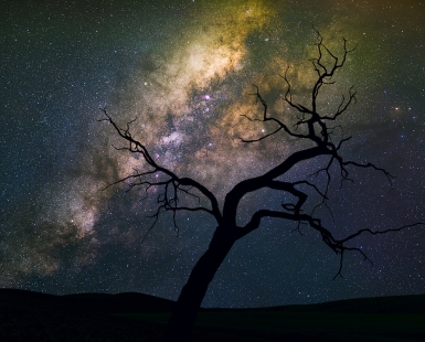 Heart of the Universe