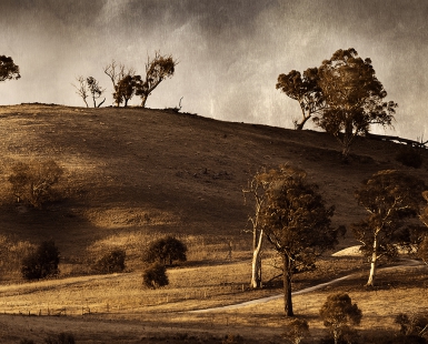 Bungonia plains