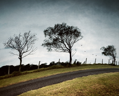 Small Roads out of Jamberoo