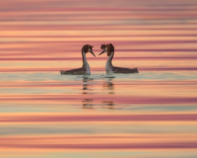 Lovers