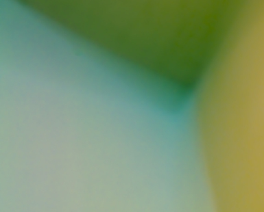 Q1