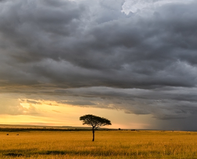Masai Mara Sunset