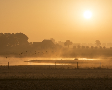 Sunrise in the countryside