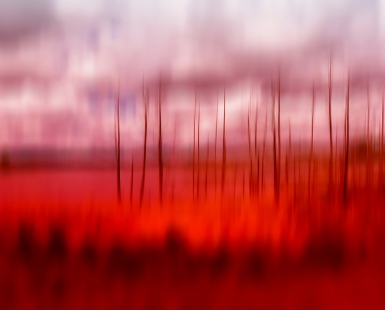 Red Lines
