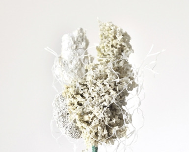 Bloom I (from the series Memorie del Mare)