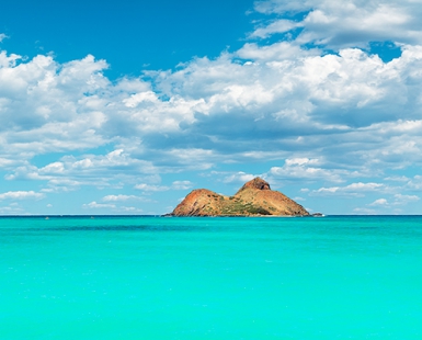 Paradise Found