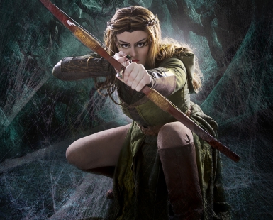 Tauriel the woodland elf. 