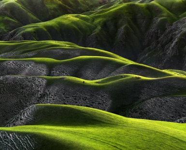  Grassland of human body Curves