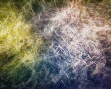 Daydream Fields