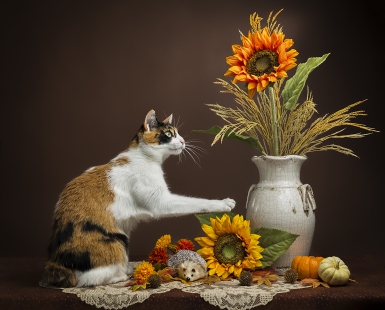 Fall theme