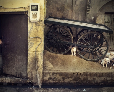 The Alley Of Joy