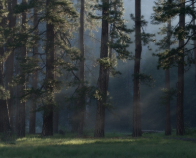 First Light In Yosemite