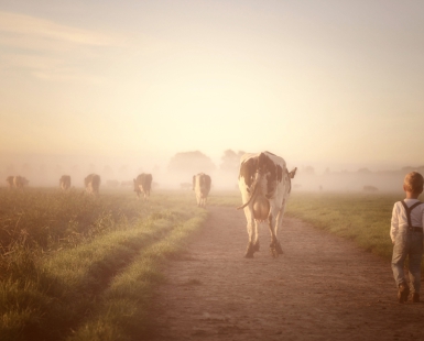 Dawn