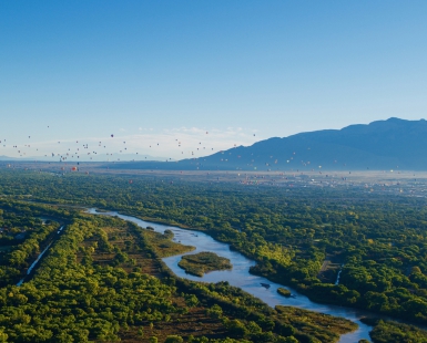 Balloon Fiesta