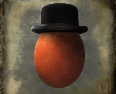 Portrait of an Egg