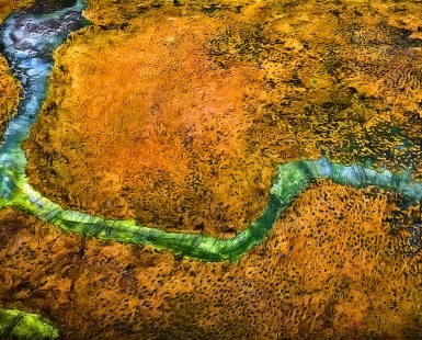 Long limbed Billabong