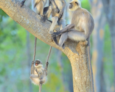 Fun For All Ages