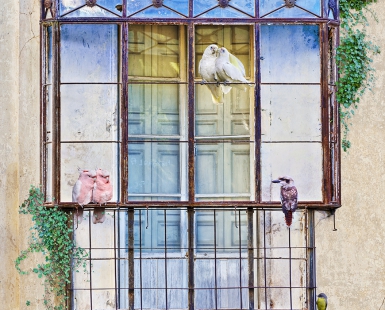A colourful balcony of feathers