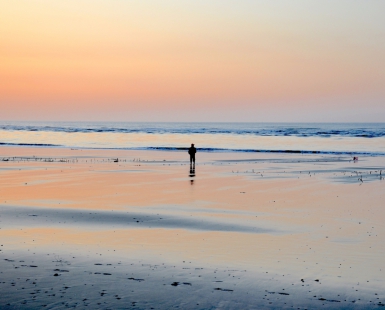 Contemplating The Sea