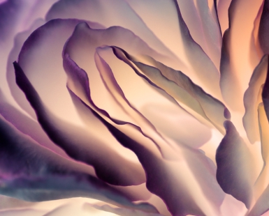 metamorphosis #3