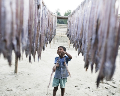 Dry Fish Boy