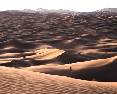 Sahara