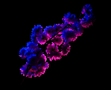 Colorful Darknesses - Nature