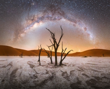 Dead Vlei
