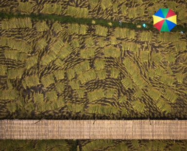 Harvest By Hand