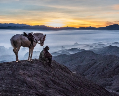 Man and Horse at Sunrise
