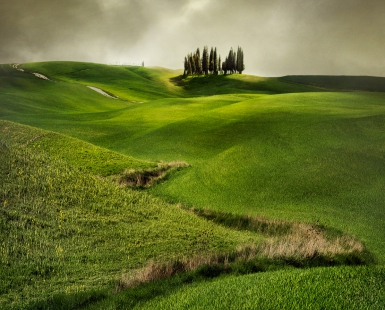 Cypress Hill