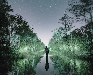 Everglades