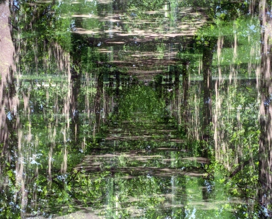 Green Labyrinth