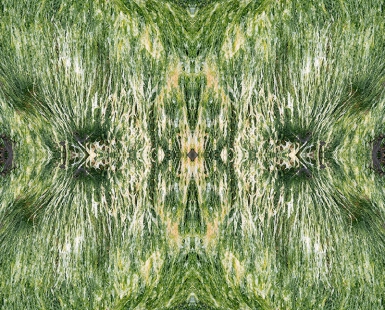 Secret of nature I