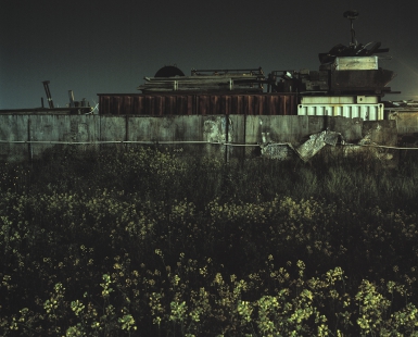 Eleonas (Olive grove), the Unconscious of the City