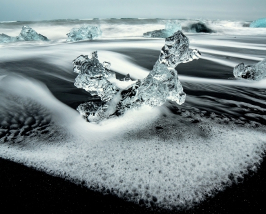 Ice Poodle